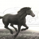 Taryn Horse