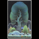 ForestRealm-Night-forSiteWide