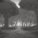 Forest at Sunset - Digital - Starburns